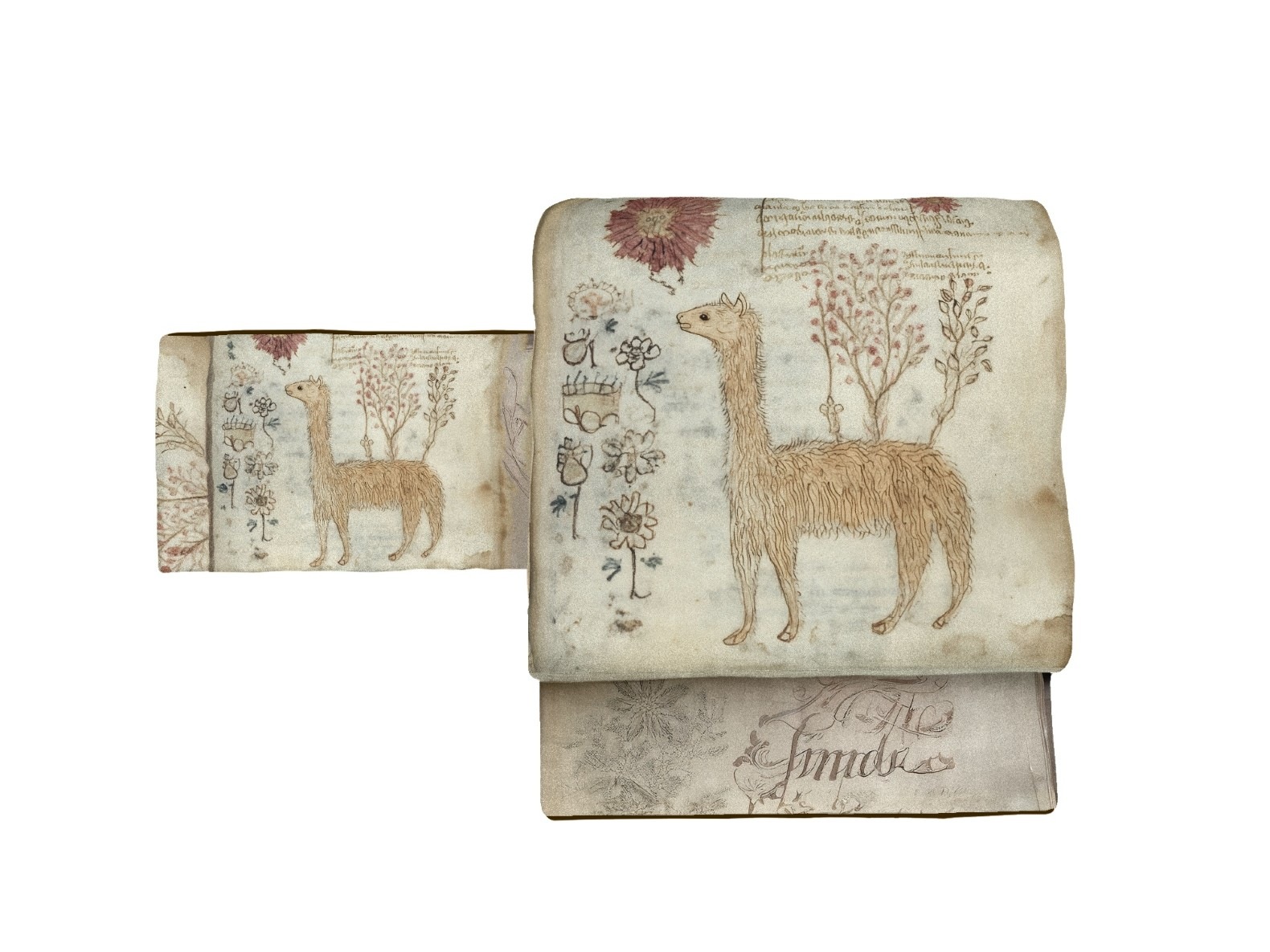 3本限定　京袋帯　FU25032201