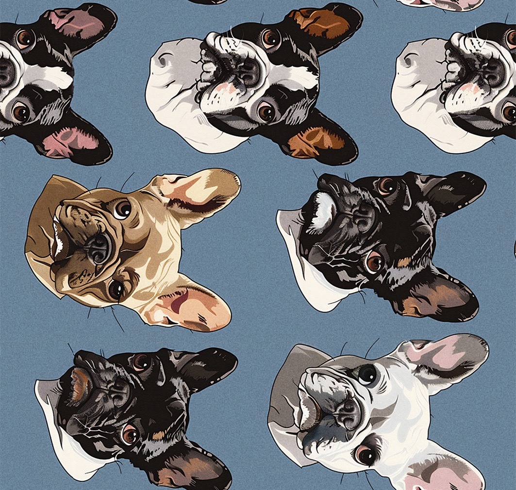 即納品　半幅帯　sFH24051001