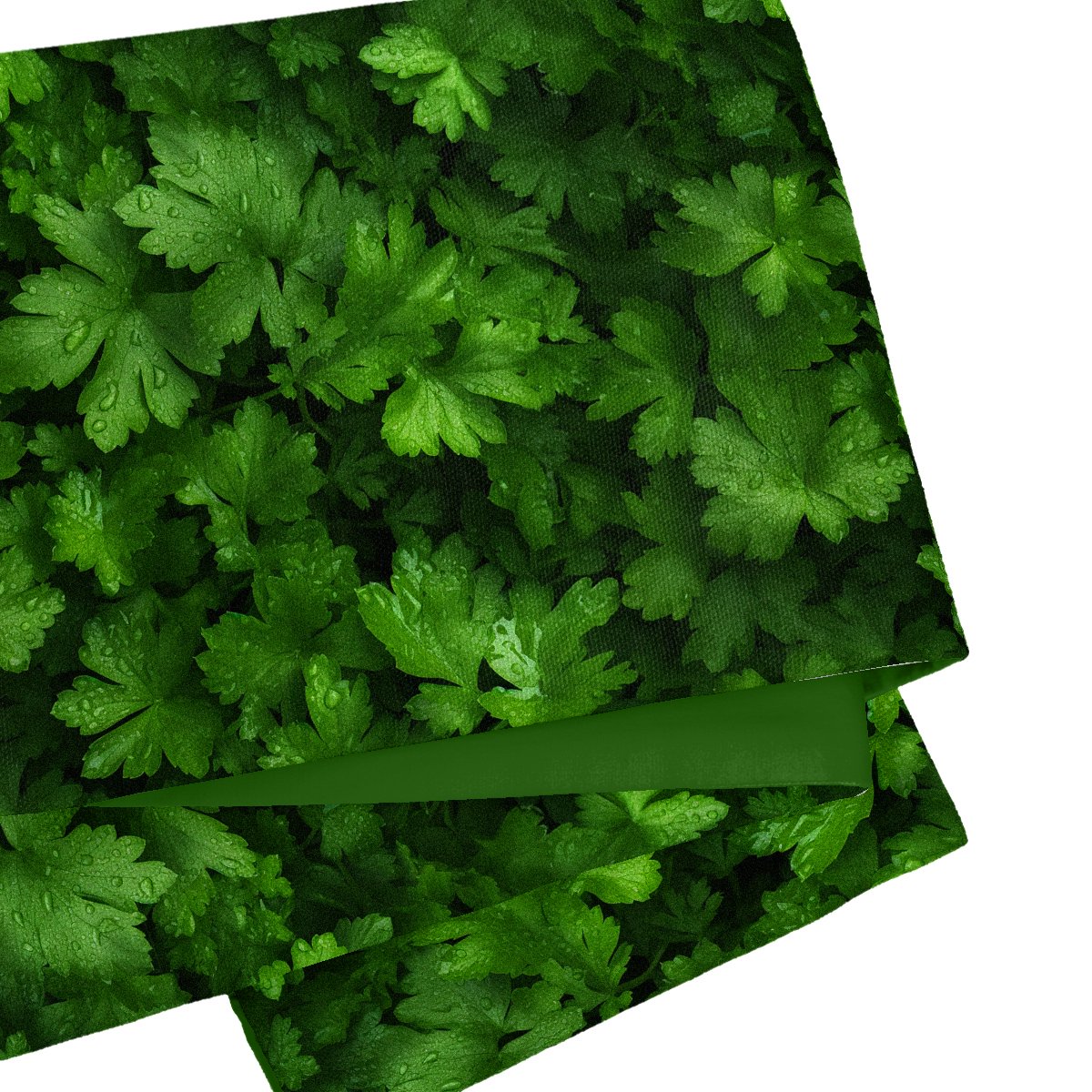 半幅帯　FH20238081202