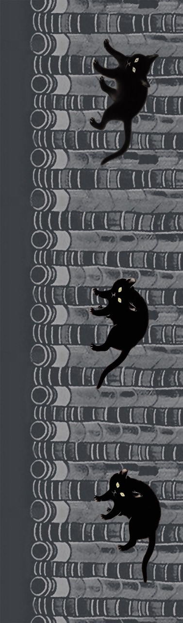 即納品 半幅帯 sFH24033102