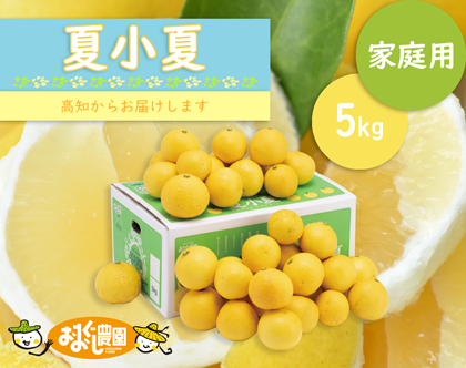 なつこなつ家庭用5kg