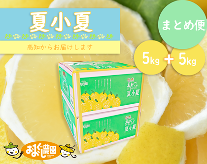 なつこなつ家庭用5kg2箱まとめ便