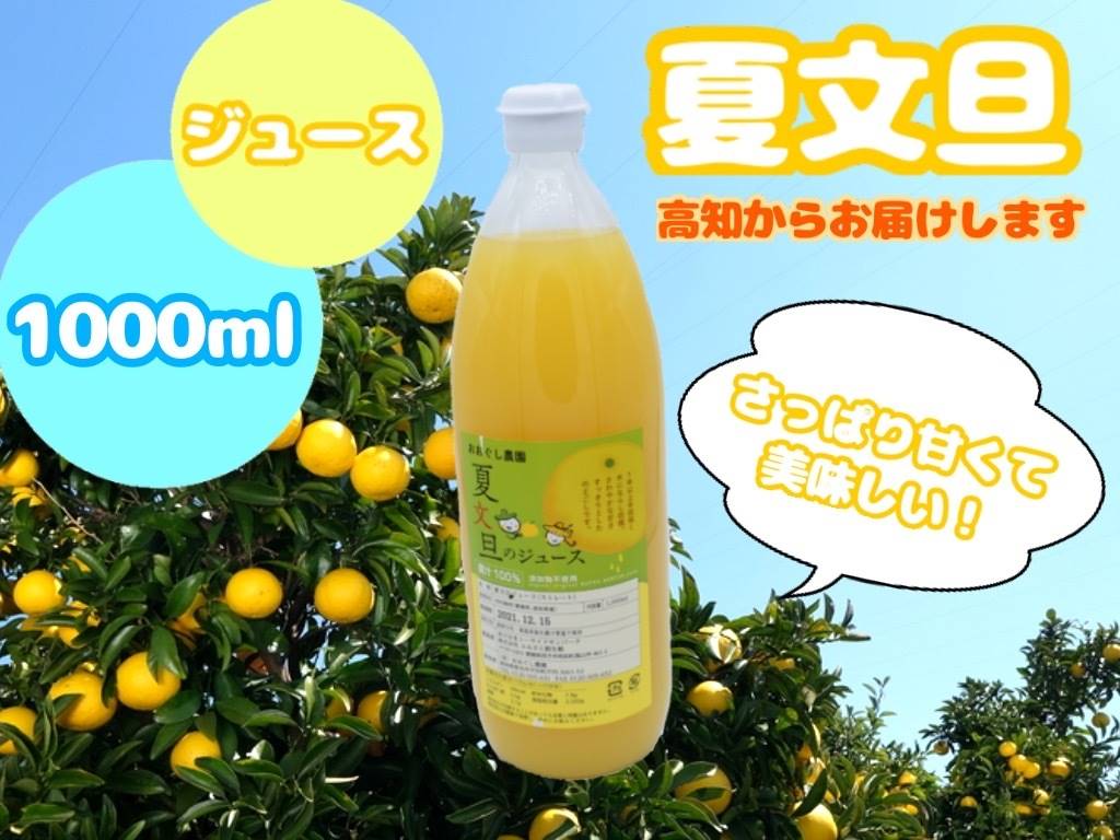 夏文旦ジュース1L