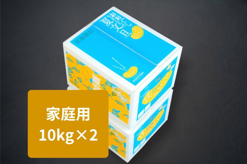 夏文旦 家庭用10kg ×２箱