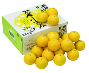 夏小夏贈答用２．５ｋｇ