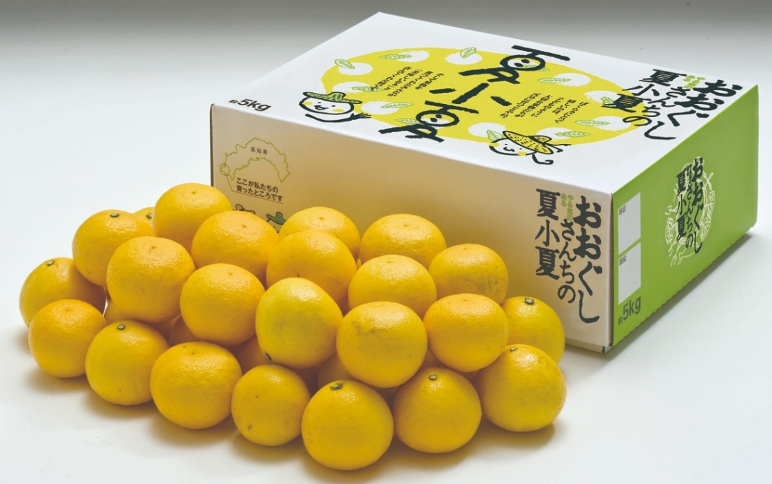 夏小夏贈答用５ｋｇ