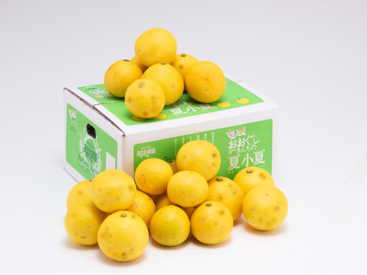 夏小夏家庭用2.5kg