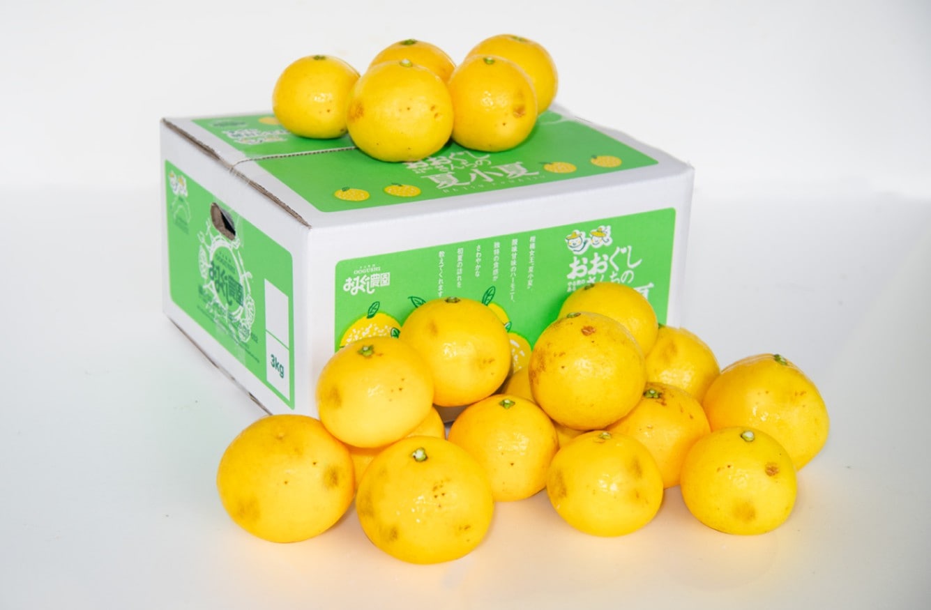 夏小夏家庭用3kg
