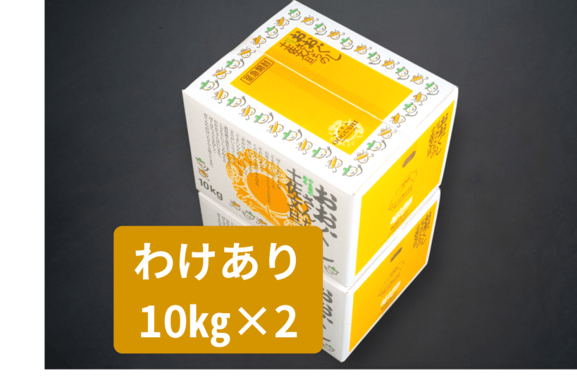 土佐文旦10kg×2箱 わけあり | 土佐文旦,わけあり | おおぐし農園