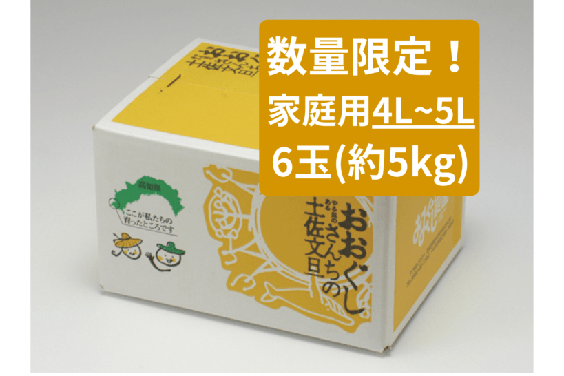 【数量限定】土佐文旦6玉家庭用　4L-5L