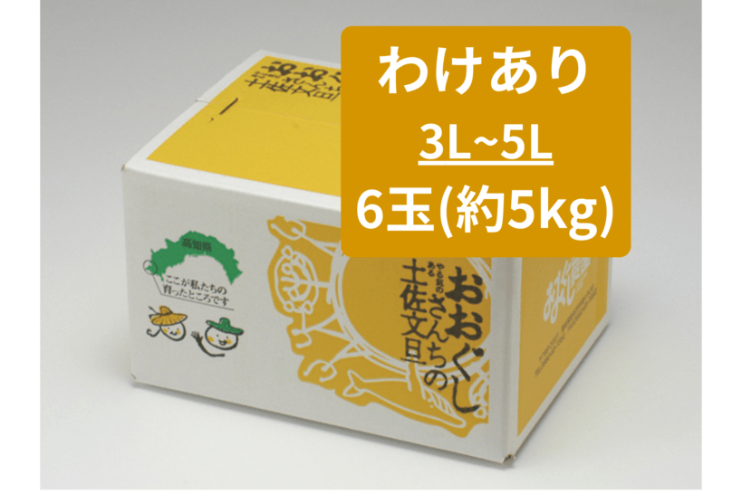 土佐文旦6玉わけあり　3L-5L
