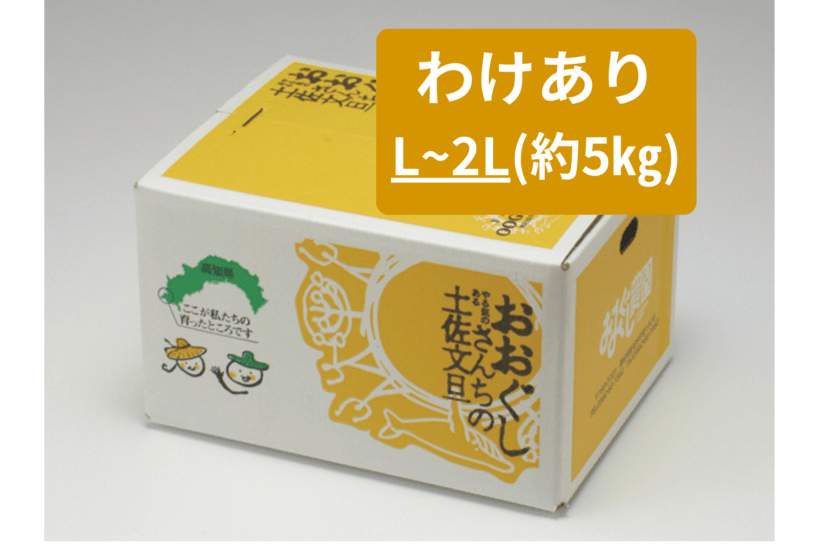 わけあり文旦5ｋｇ(L～2L)