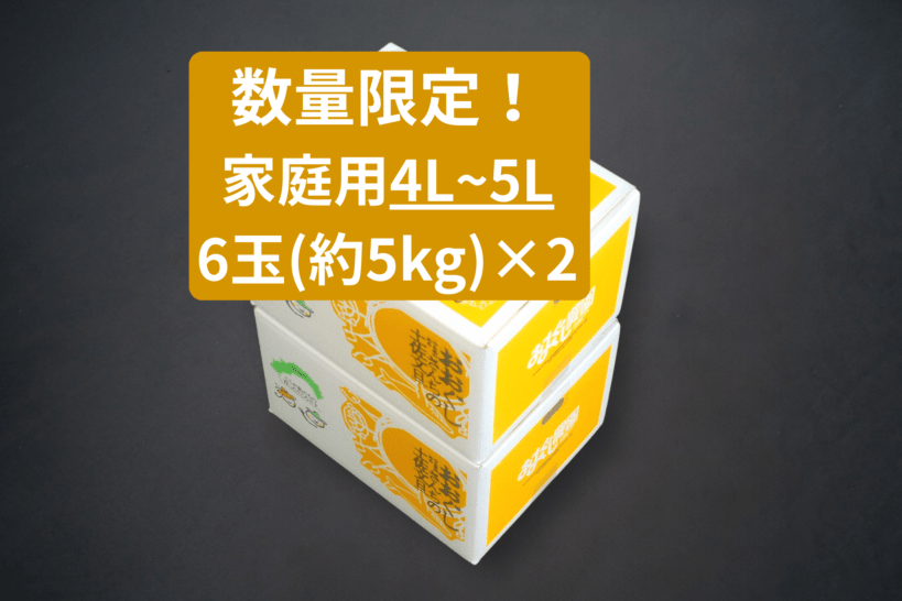【数量限定】土佐文旦6玉家庭用　4L-5L×２箱　