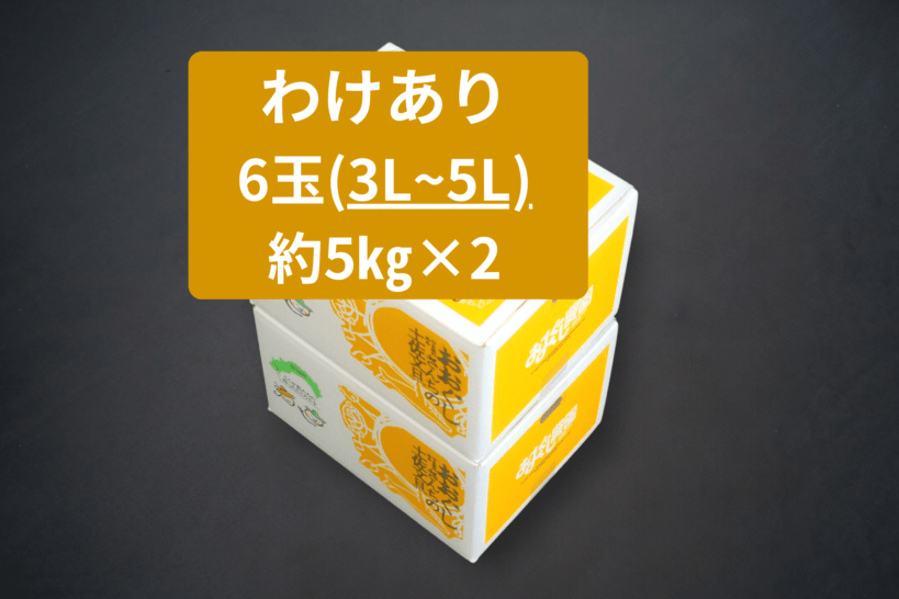 わけあり　土佐文旦5ｋｇ(3L-5L)×２箱　