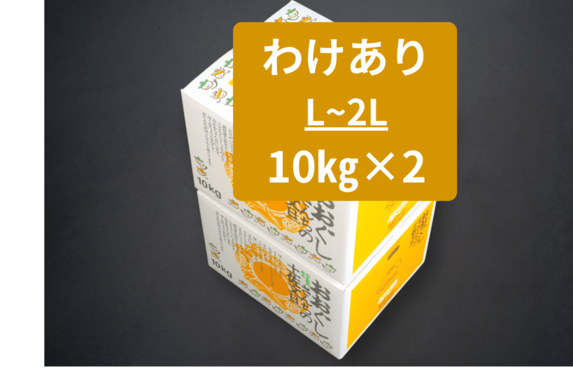 わけあり　土佐文旦10ｋｇ(L～2L)×２箱　