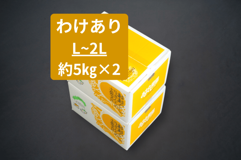 わけあり　土佐文旦5ｋｇ(L～2L)×２箱　