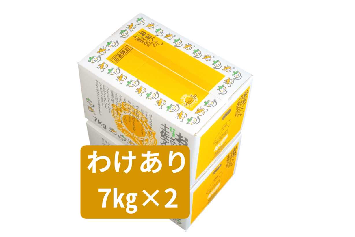土佐文旦 わけあり7kg ×２箱