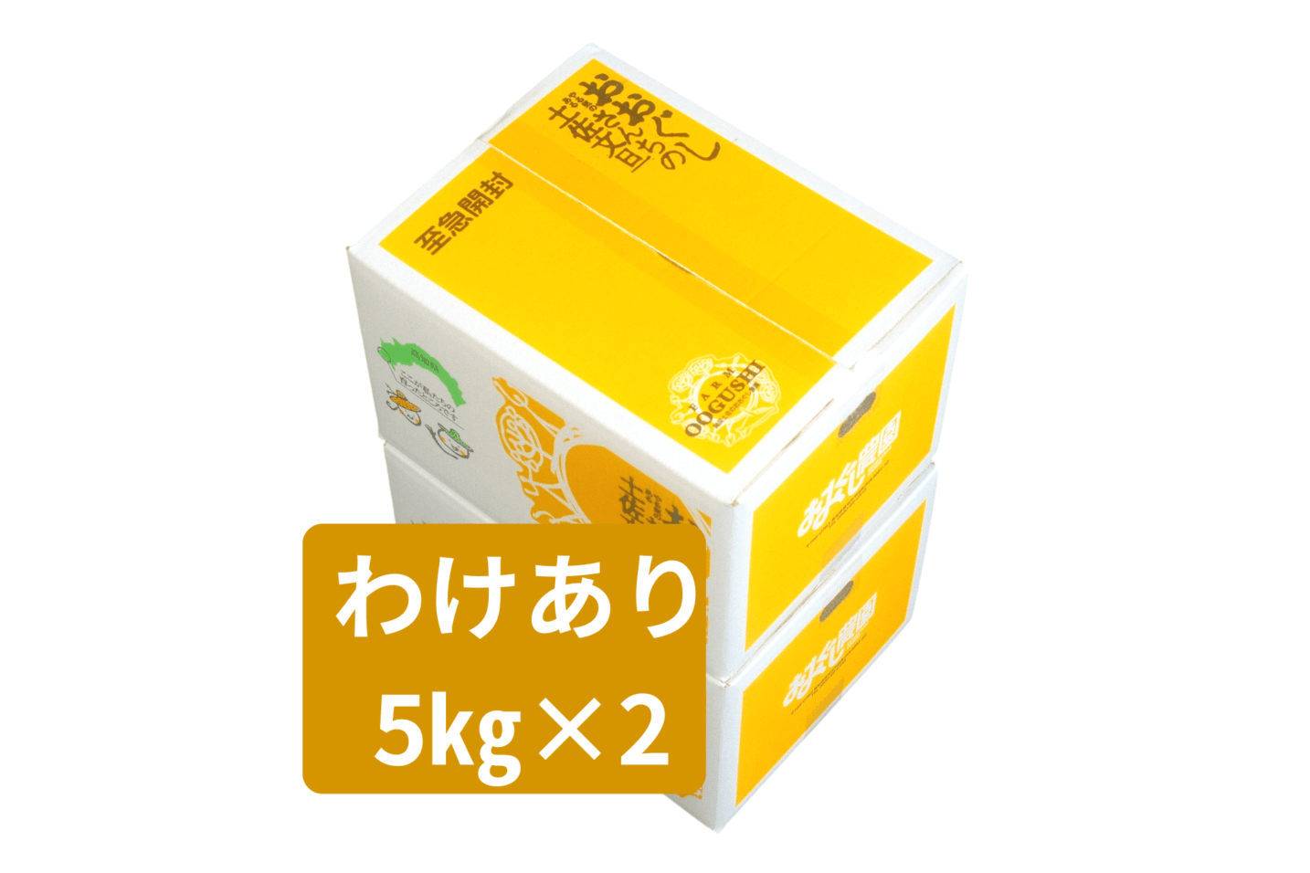土佐文旦 わけあり5kg ×２箱　
