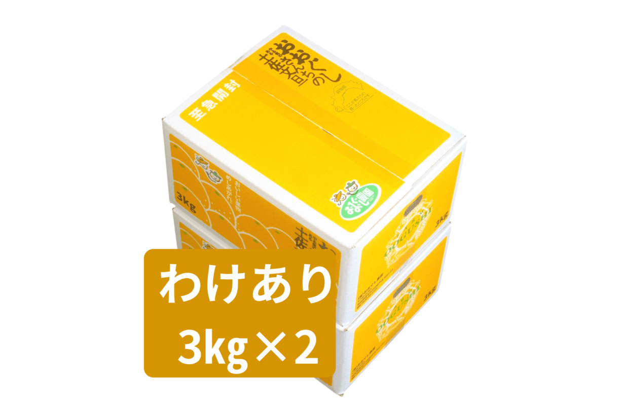 土佐文旦 わけあり3kg ×２箱　