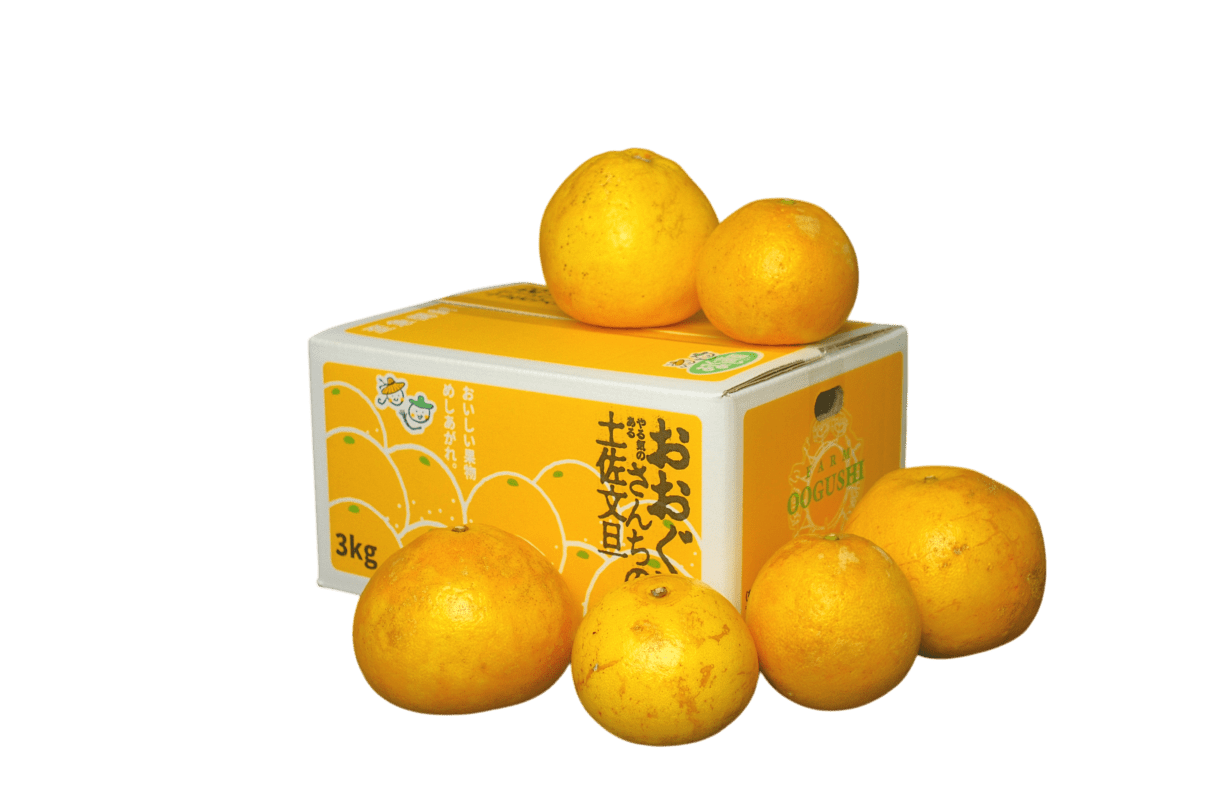 土佐文旦 わけあり3kg