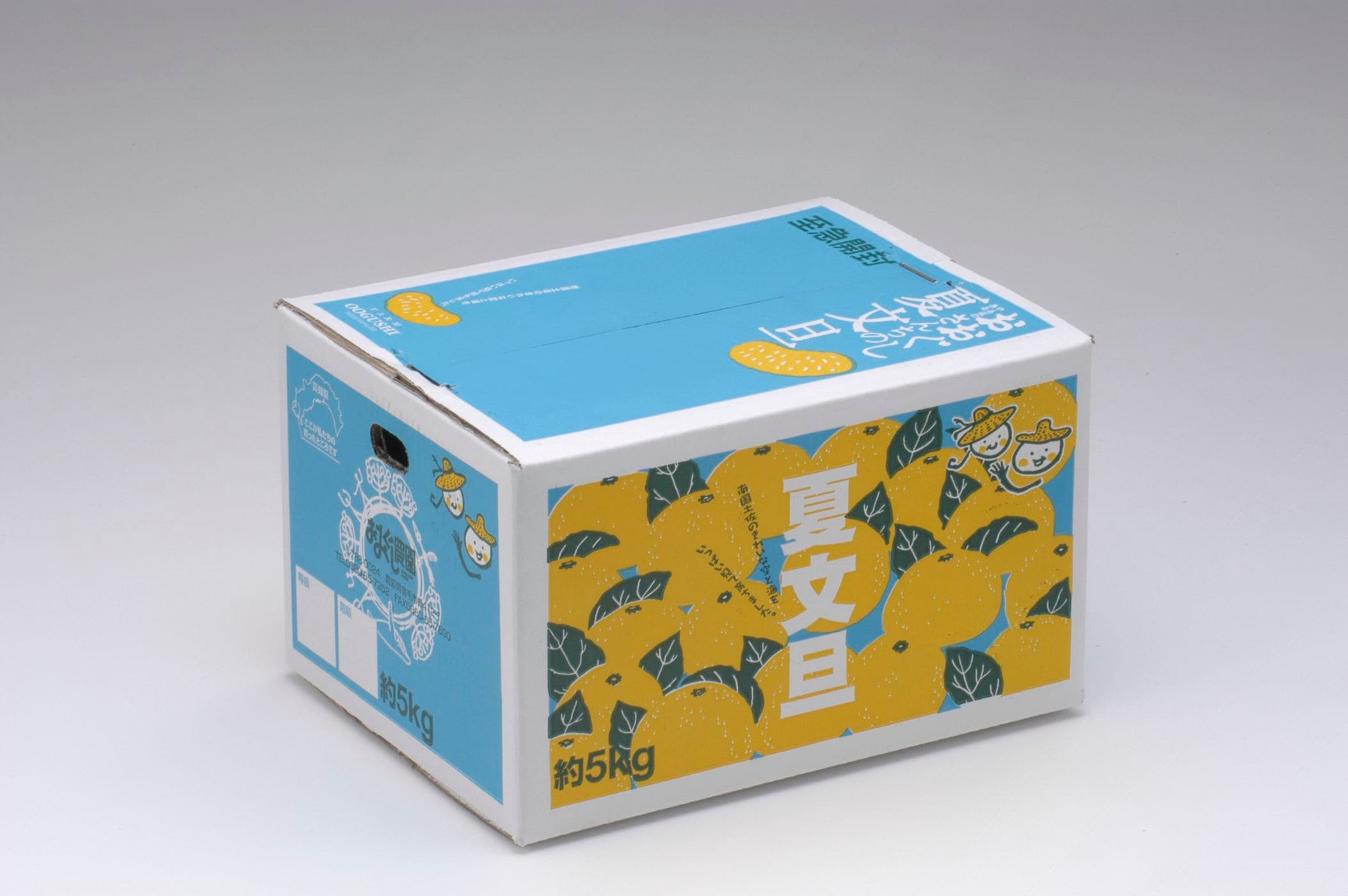 夏文旦 わけあり5kg