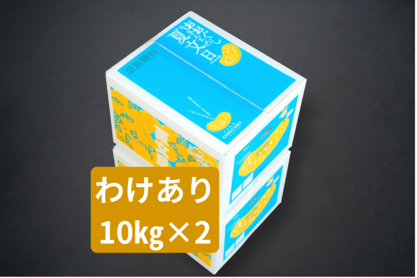 夏文旦 わけあり10kg ×２箱
