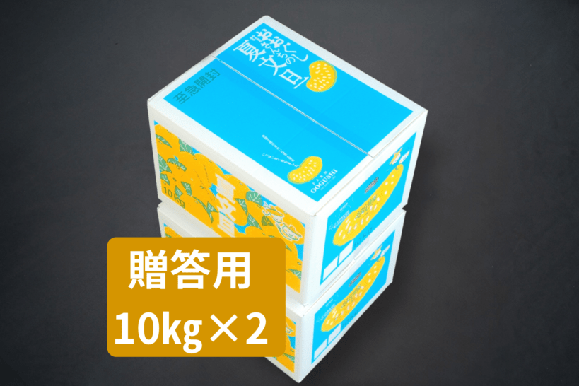 夏文旦 贈答用10kg ×２箱