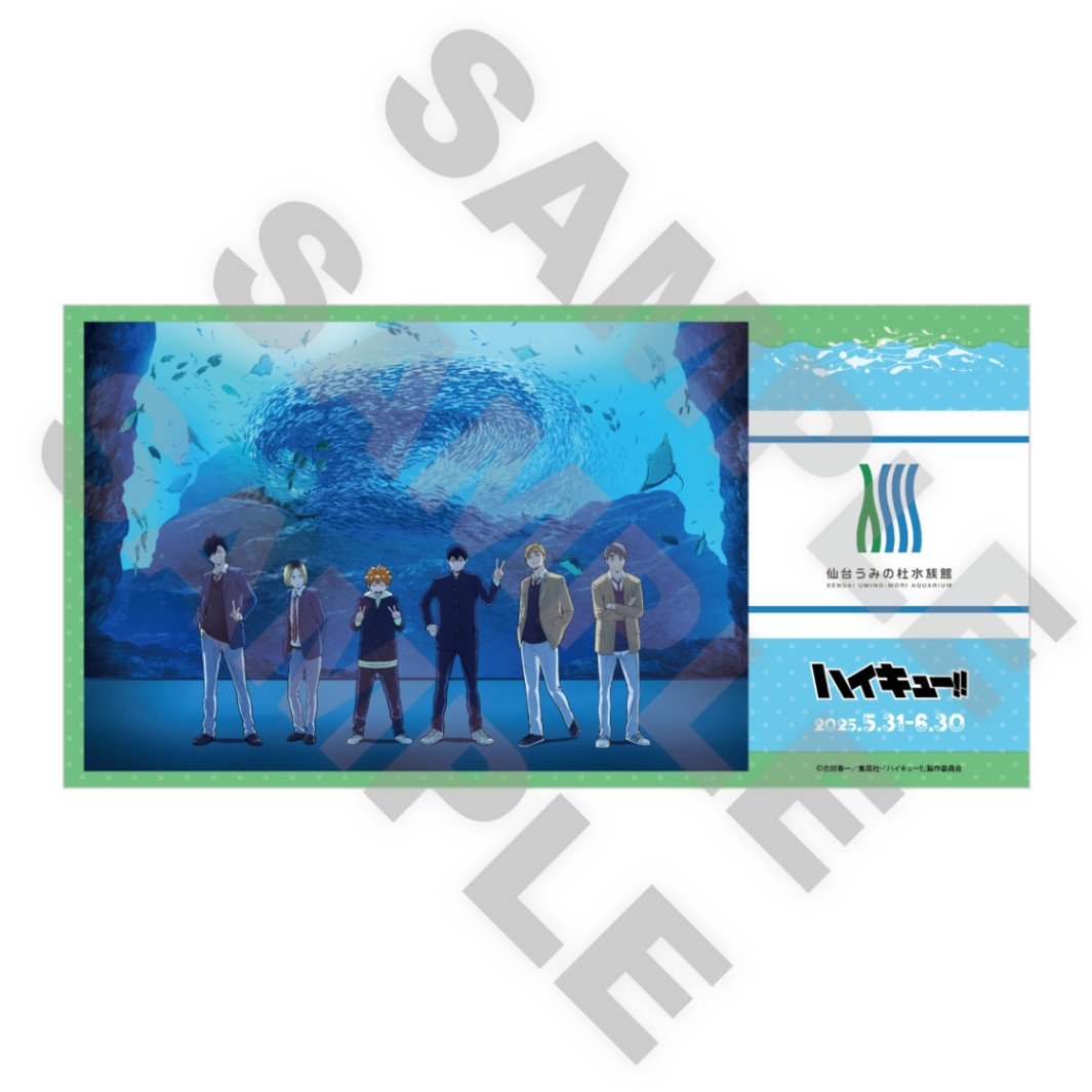 ハイキュー!!アクアリウムキャラバン バスタオル ハイキュー!!アクアリウムキャラバン バスタオル