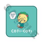 12ܺʹȯץBull Pulu ߥ˥