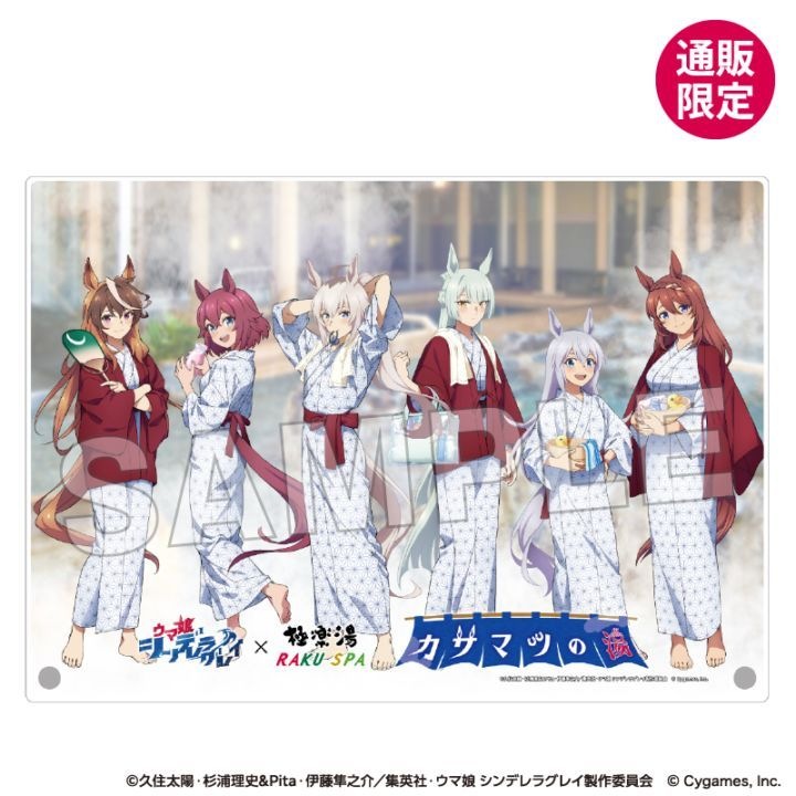 ��3���ܺ��ʹ�ȯ���ץ���̼ ����ǥ�饰�쥤 �������ѥͥ��A4�ˡ�EC�����