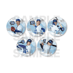 ��6���ܺ��ʹ�ȯ���ײ���DeNA�٥��������� �̥Хå� 5�ĥ��åȡ�B���åȡ�