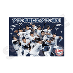 ��6���ܺ��ʹ�ȯ���׺������饤���� ����Ϥ�ݥ�����