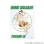 ��2���ܺ��ʹ�ȯ����WIND BREAKER ����Ϥ�ݥ����� ������