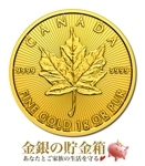 ᥤץ 1g 2024ǯ