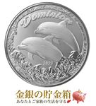 ɥߥ˥¹ 륫 1 2023ǯ
