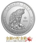 �ۥå��祯���޶�� 1.5���� 2017ǯ��