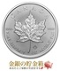 �������آ� �ᥤ�ץ��� 1���� 2025ǯ��