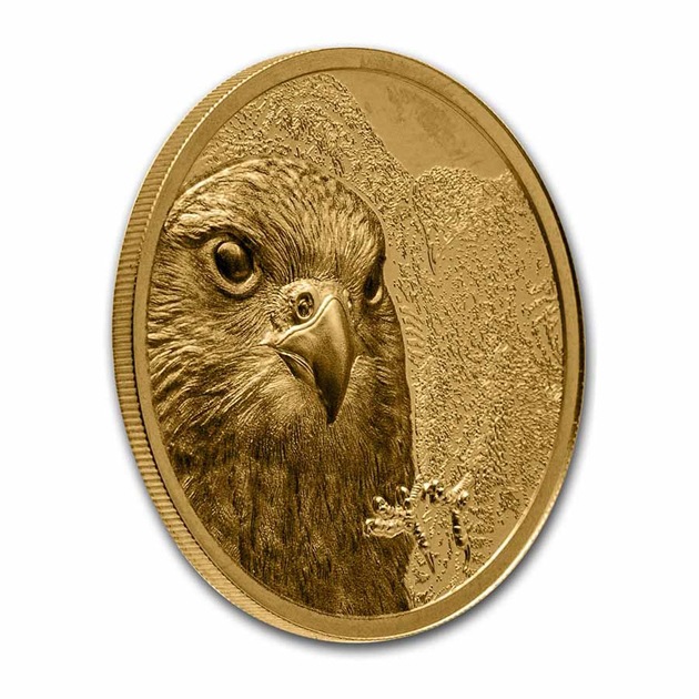 󥴥 ե륳 ϥ֥ 1 25000ȥ륰 2023ǯ 󥴥ȯ ץ롼 ȥ ϥ ꡼ 쥯󥱡