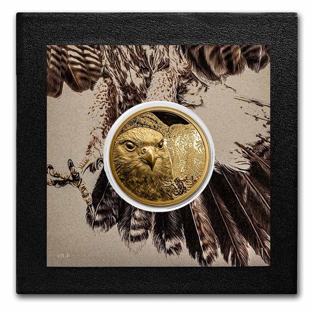 󥴥 ե륳 ϥ֥ 1 25000ȥ륰 2023ǯ 󥴥ȯ ץ롼 ȥ ϥ ꡼ 쥯󥱡