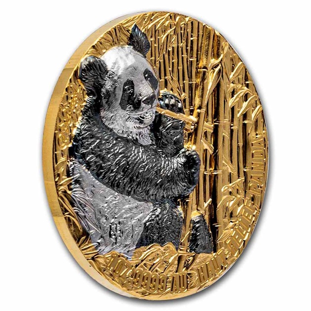 ȥܥ ѥ 1 ǥ ͥ㡼 ɡ 100ե 2022ǯ ץ롼 ϥ꡼ ޥåȻž夲 쥯󥱡