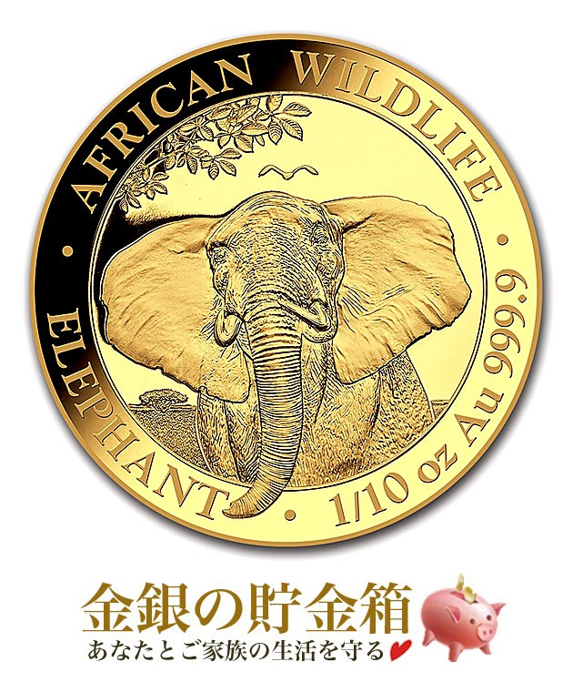 �ڿ��� ��������ʪ �ݶ�� 1/10���� 2021ǯ��