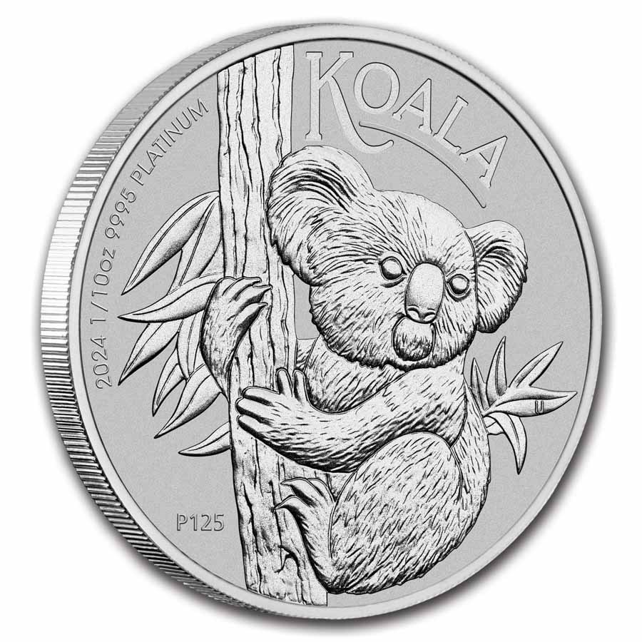 ������ץ���ʥ����� 1/10���� 2024ǯ�� ���ꥢ����������