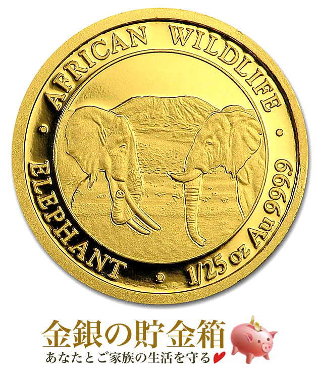 ������ʪ �ݶ�� 1/25���� 2020ǯ�� ���ꥢ����������