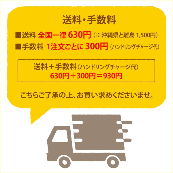  1/4 ꥢ 2024ǯ