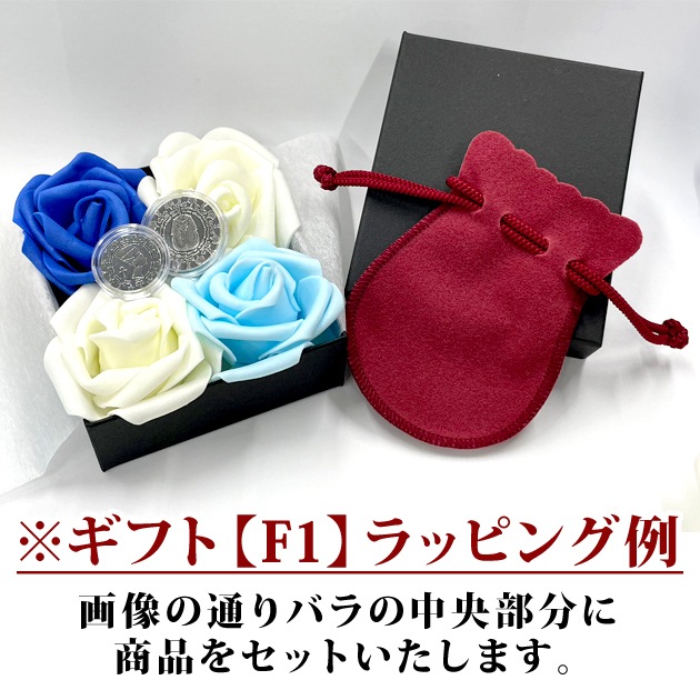 �����եȥ�åԥ󥰥��ץ�����F1 �ķϡۡ�