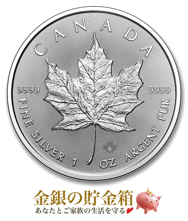 �������آ� ��2026ǯ�� �ᥤ�ץ��� 1����