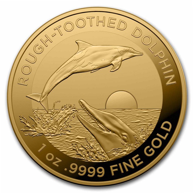 �������ȥ�ꥢ �ɥ�ե��� ���륫���꡼��������ϥ��륫��� 1���� ���ꥶ�٥����� 2023ǯ�� ��Ω�������ȥ�ꥢ¤ʾ��ȯ�� BU ���쥯����󥱡�������