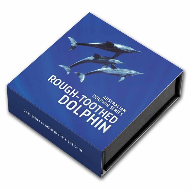 �������ȥ�ꥢ �ɥ�ե��� ���륫���꡼��������ϥ��륫��� 1���� ���ꥶ�٥����� 2023ǯ�� ��Ω�������ȥ�ꥢ¤ʾ��ȯ�� BU ���쥯����󥱡�������