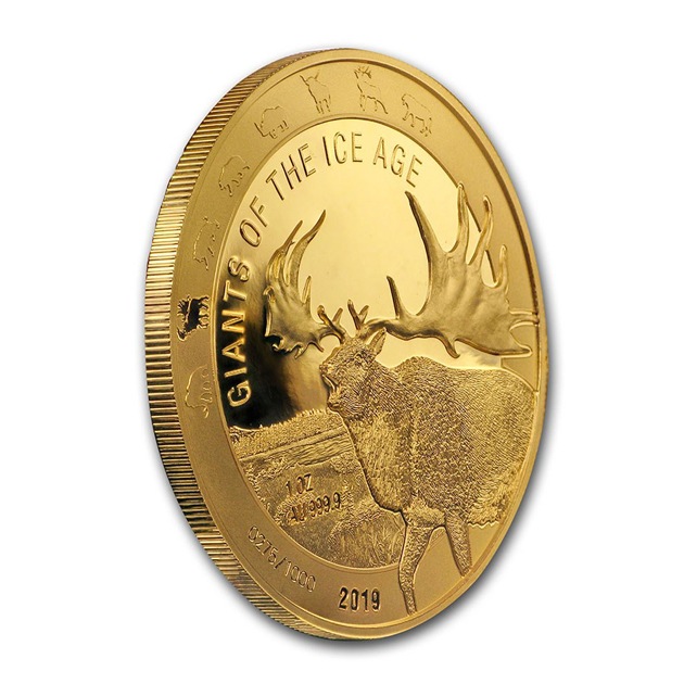 ɹ�ϴ��ε�� ����ưʪ���꡼�����ᥬ����������� 1���� �ץ롼�� 500���ǥ� 2019ǯ�� �����ʶ��¹�ȯ�� ���쥯����󥱡�������