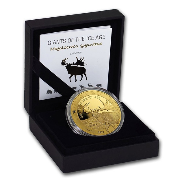 ɹ�ϴ��ε�� ����ưʪ���꡼�����ᥬ����������� 1���� �ץ롼�� 500���ǥ� 2019ǯ�� �����ʶ��¹�ȯ�� ���쥯����󥱡�������